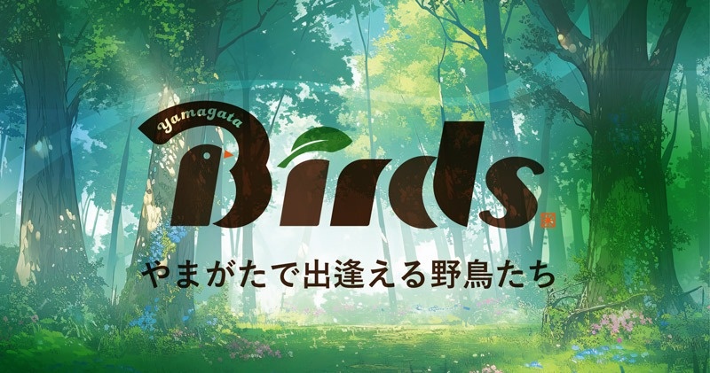 Birds やまがたで出逢える野鳥たち